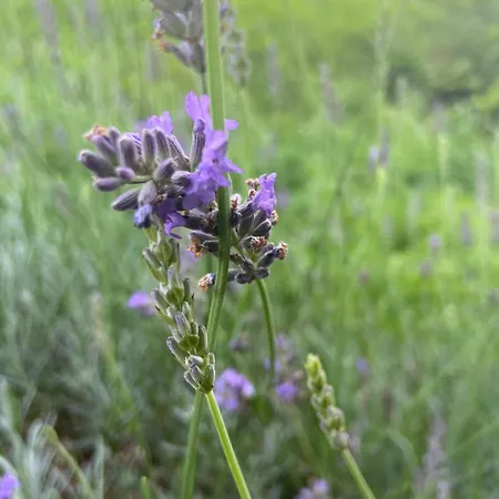 Σπίτι διακοπών Daline House Clonakilty